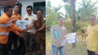 PT SAS dan Group Salurkan 40 Hewan Kurban untuk Masyarakat Jambi PT SAS dan Group Salurkan 40 Hewan Kurban untuk Masyarakat Jambi