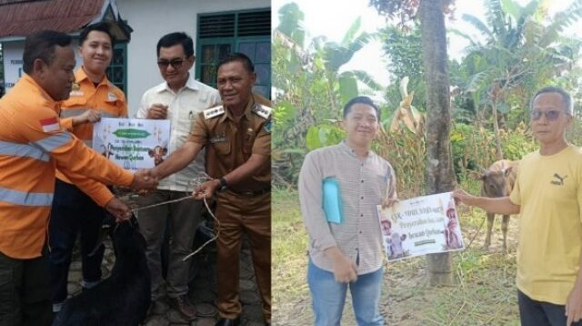 PT SAS dan Group Salurkan 40 Hewan Kurban untuk Masyarakat Jambi