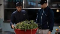 the legend of kitchen soldier drakor kuliner dan militer yang ternyata punya hati sangat hangat the legend of kitchen soldier drakor kuliner dan militer yang ternyata punya hati sangat hangat