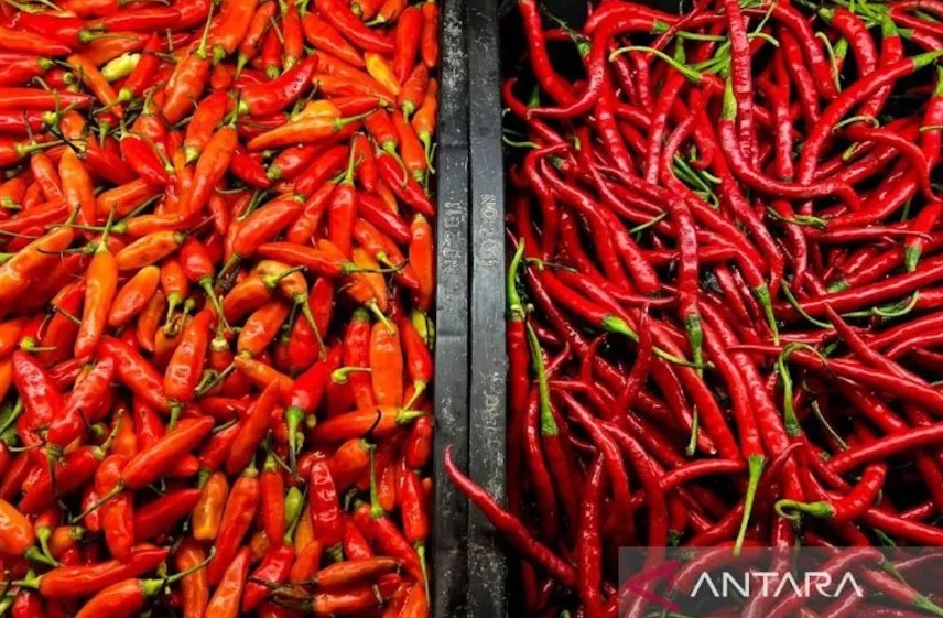 Cek Harga Cabai Rawit dan Telur Ayam Hari Ini