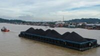Ini Harga Batu Bara Periode II Juni Ini Harga Batu Bara Periode II Juni