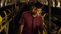 Kesan Nonton Film Black Coal, Thin Ice: Misteri Kelam, Kesepian, dan Kejahatan dalam Balutan Film Noir Modern