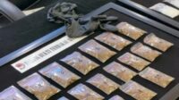 Terbongkar! 18 Kg Ganja Asal Amerika dan Rusia Diselundupkan ke Bali dengan Modus Koper Rahasia Terbongkar! 18 Kg Ganja Asal Amerika dan Rusia Diselundupkan ke Bali dengan Modus Koper Rahasia