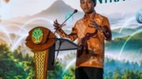 kpk angkat bicara soal misteri amplop menhut pencegahan kelar, kini giliran penindakan didalami kpk angkat bicara soal misteri amplop menhut pencegahan kelar, kini giliran penindakan didalami