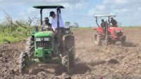 Mentan Amran Gaspol Bangun 137 Ribu Hektare Sawah di Papua, Target Swasembada Pangan Makin Dekat Mentan Amran Gaspol Bangun 137 Ribu Hektare Sawah di Papua, Target Swasembada Pangan Makin Dekat