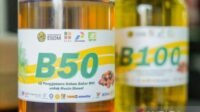 Siap-Siap Kaya! Program B50 Sukses Dorong Hilirisasi Sawit, Produk Turunan Ini Bakal Banjir Cuan