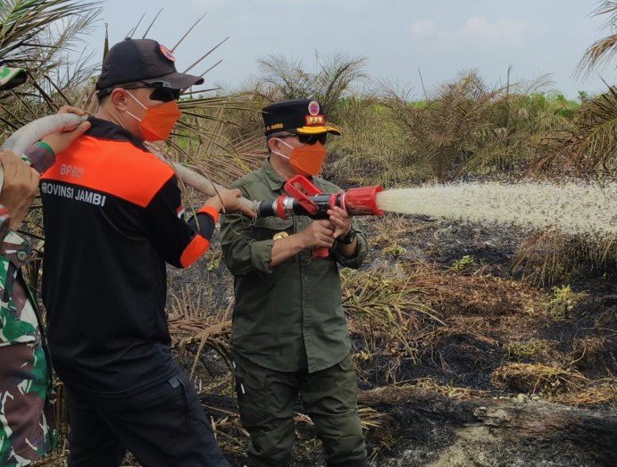 Turun Langsung Padamkan Karhutla di Air Merah, Gubernur Al Haris: Api Sudah 3 Hari, Gambut Sulit Dipadamkan