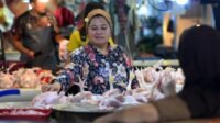 Kenaikan Harga Ayam Ras di 188 Daerah Perlu Diwaspadai