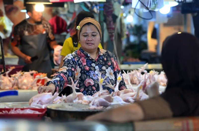 Kenaikan Harga Ayam Ras di 188 Daerah Perlu Diwaspadai