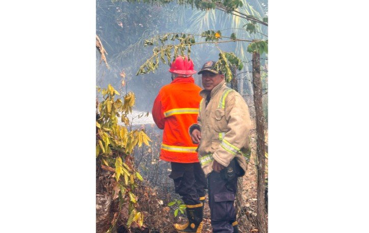 Lahan Pekarangan Warga di Bukit Baling Terbakar, Damkar Sekernan Bergerak Cepat