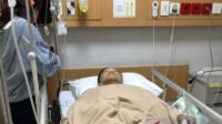 Kena Pecahan Kaca, Polisi Terluka Saat Penggerebekan Gudang Udang Palsu Kena Pecahan Kaca, Polisi Terluka Saat Penggerebekan Gudang Udang Palsu