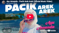 lagu pacik arek arek ayu amanda lagu pacik arek arek ayu amanda