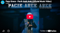 lagu pacik arek arek pepy grace.