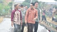 atasi lahan sempit, wawako jambi launching program semai agrobiopori untuk urban farming atasi lahan sempit, wawako jambi launching program semai agrobiopori untuk urban farming