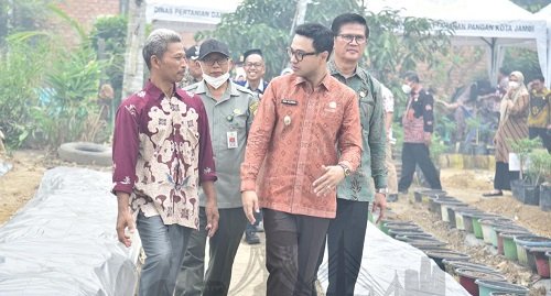 atasi lahan sempit, wawako jambi launching program semai agrobiopori untuk urban farming