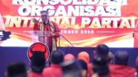 kader pdi p kader pdi p