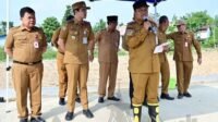 kendalikan banjir dan buka ruang publik, pemkot jambi hijaukan telaga kajang lako kendalikan banjir dan buka ruang publik, pemkot jambi hijaukan telaga kajang lako